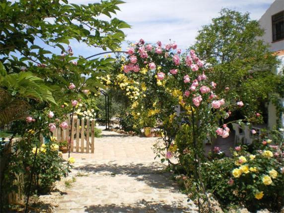 Casas Rurales Cazorla-Alcon Pozo Alcon Room photo