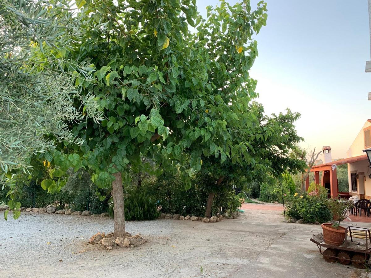Casas Rurales Cazorla-Alcon Pozo Alcon Exterior photo