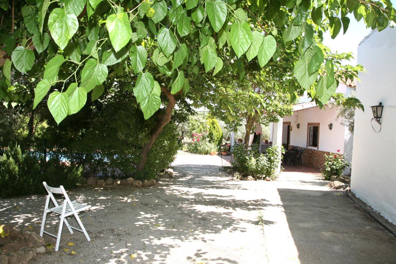 Casas Rurales Cazorla-Alcon Pozo Alcon Exterior photo